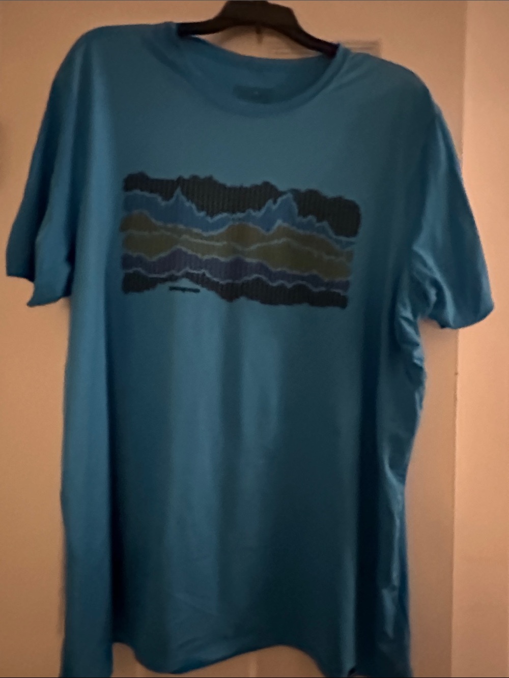 Patagonia Blue Short Sleeve Graphic Tee